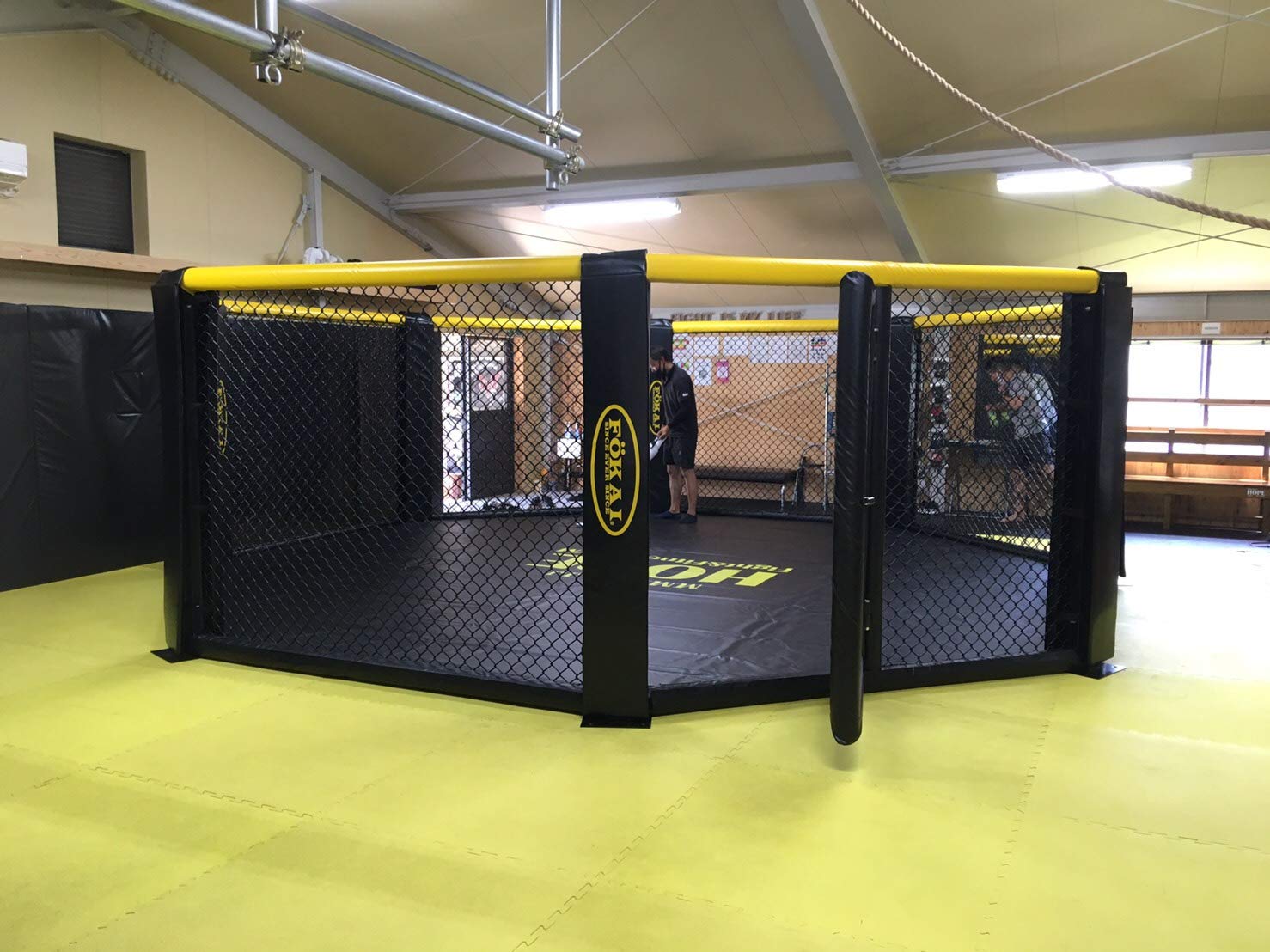 MMAケージ Amazon | 格闘技ケージ（6mx6m） | Dollamur | 筋力トレーニング